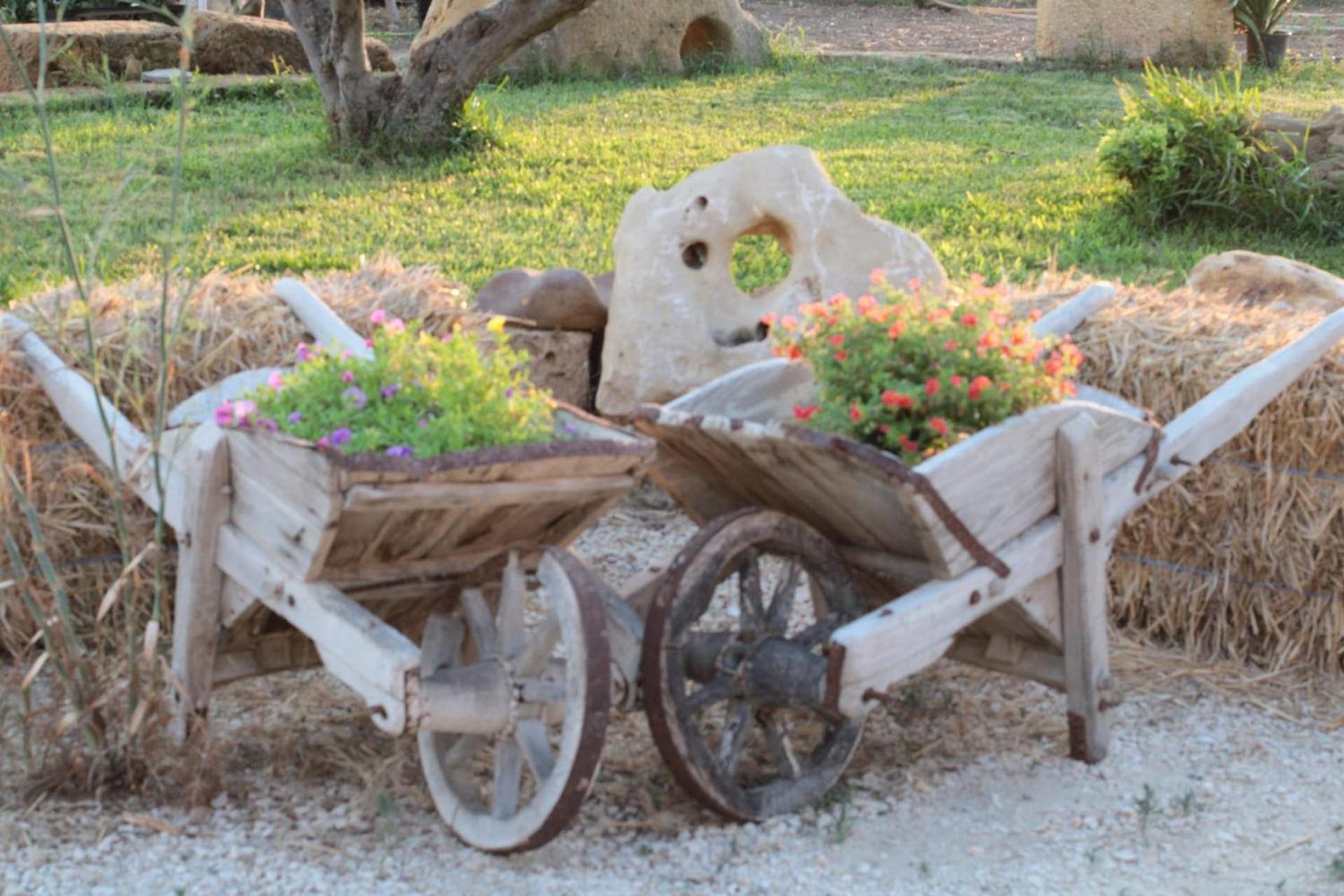 Raggio Di Sale Bed & Breakfast ตราปานี ภายนอก รูปภาพ